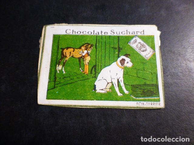 Coleccionismo cromos antiguos: CHOCOLATE SUCHARD PERRO CROMO HACIA 1900 - Foto 1