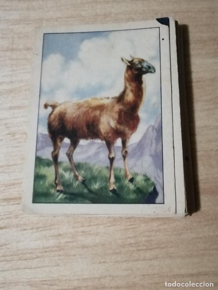 Coleccionismo Cromos antiguos: COLECCI&Oacute;N CROMOS HISTORIA NATURAL