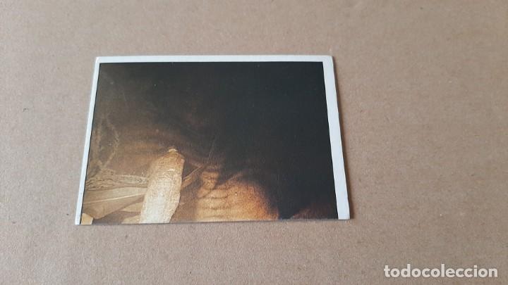 Collectionnisme Cartes &agrave; collectionner anciennes: E.T. El Extra-terrestre - ET - n&ordm; 20 - Ediciones Este - 1982 - Nunca Pegado