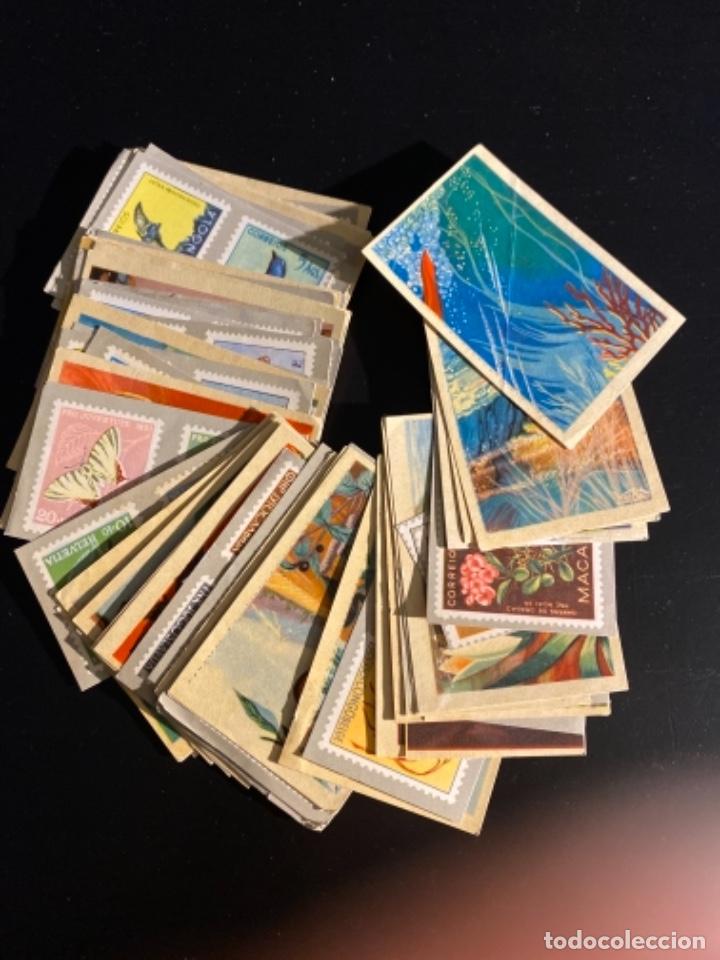 Coleccionismo Cromos antiguos: Cromos antiguos La Naturaleza y el sello editorial Ruiz Romero