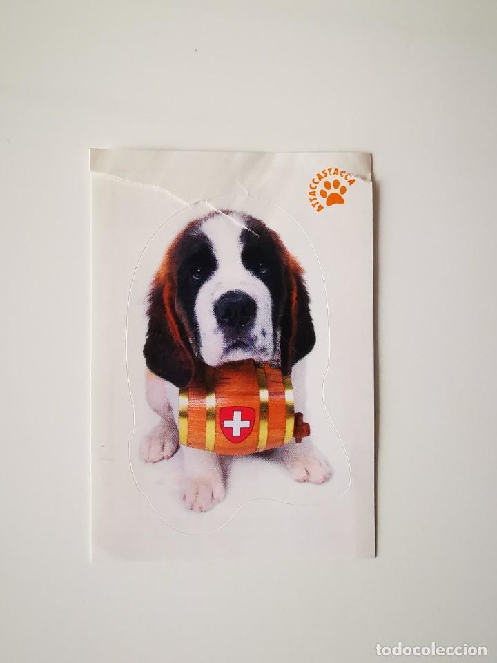 Collezionismo Figurine antiche: CROMO PEGATINA SIN PEGAR DIARIO MARCA PERROS Y GATOS TUS MEJORES AMIGOS 125