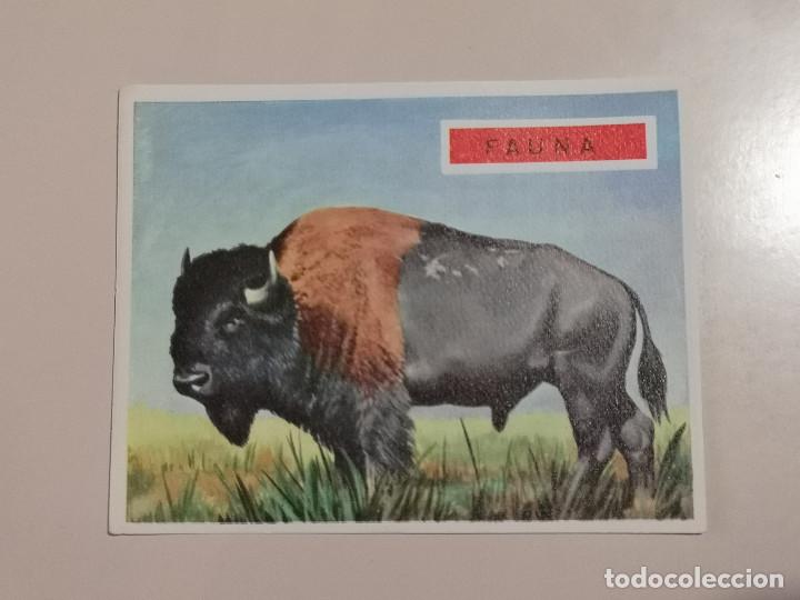 Coleccionismo cromos antiguos: CROMO - AM&Eacute;RICA y sus habitantes 187 - Nunca Pegado