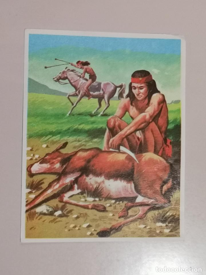 Coleccionismo cromos antiguos: CROMO - AM&Eacute;RICA y sus habitantes 244 - Nunca Pegado