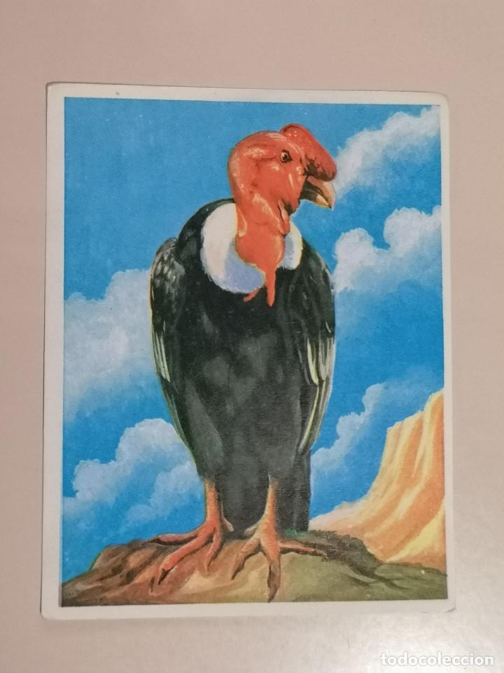 Coleccionismo cromos antiguos: CROMO - AM&Eacute;RICA y sus habitantes 209 - Nunca Pegado