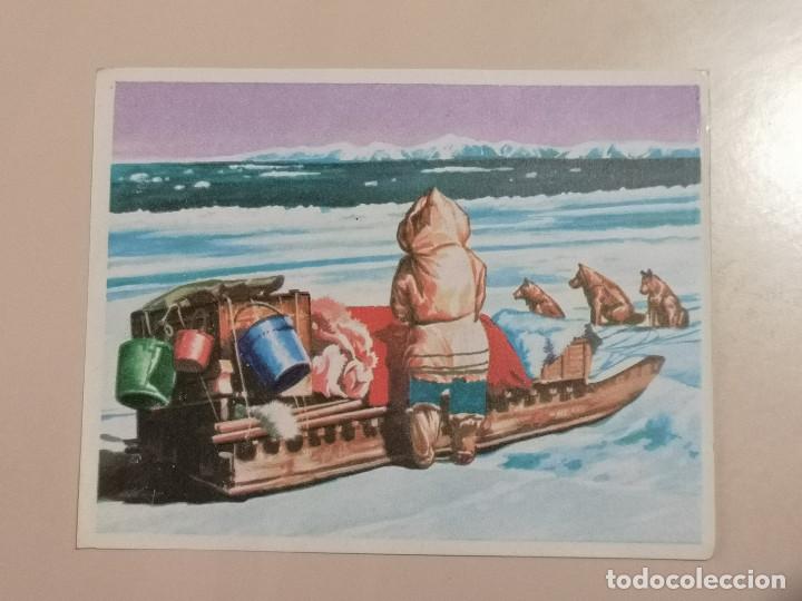 Coleccionismo cromos antiguos: CROMO - AM&Eacute;RICA y sus habitantes 234 - Nunca Pegado
