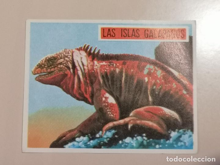 Coleccionismo cromos antiguos: CROMO - AM&Eacute;RICA y sus habitantes 247 - Nunca Pegado
