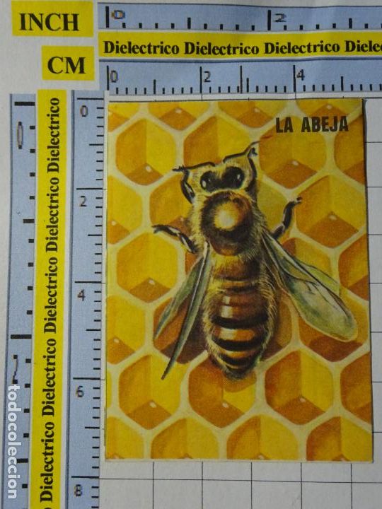 Sammeln alte Sammelbilder: CROMO CROMITO CHUCHER&Iacute;AS. &Aacute;LBUM BIMBO EL LIBRO DE LAS ADIVINANZAS 2. 228 ABEJAS