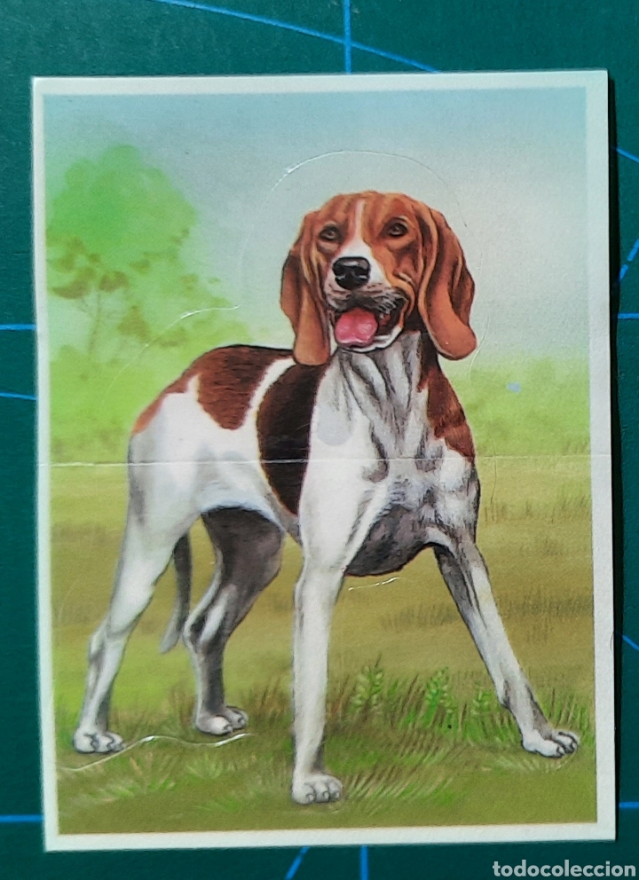 Coleccionismo cromos antiguos: CROMO BOLLYCAO / TU MEJOR AMIGO / N&ordm; 54 SABUESOS DE ARTOIS