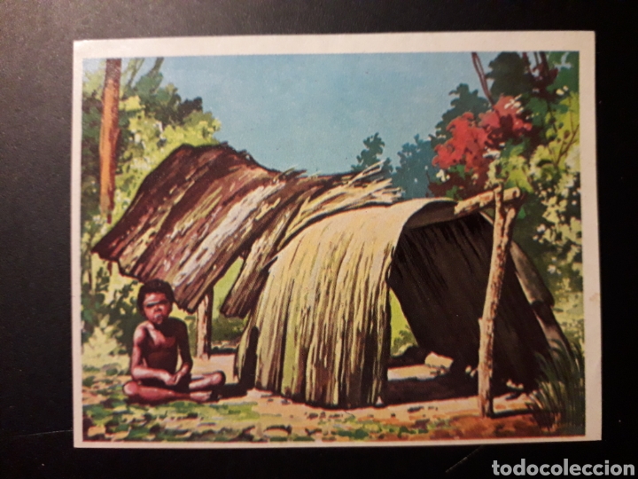 Collectionnisme Cartes &agrave; collectionner anciennes: VIVIENDA AUSTRALIANA. LA NATURALEZA Y EL HOMBRE. MAGA 1967 N&deg; 329 DESPEGADO FOTOS. PEDIDO M&Iacute;NIMO 3 &euro;