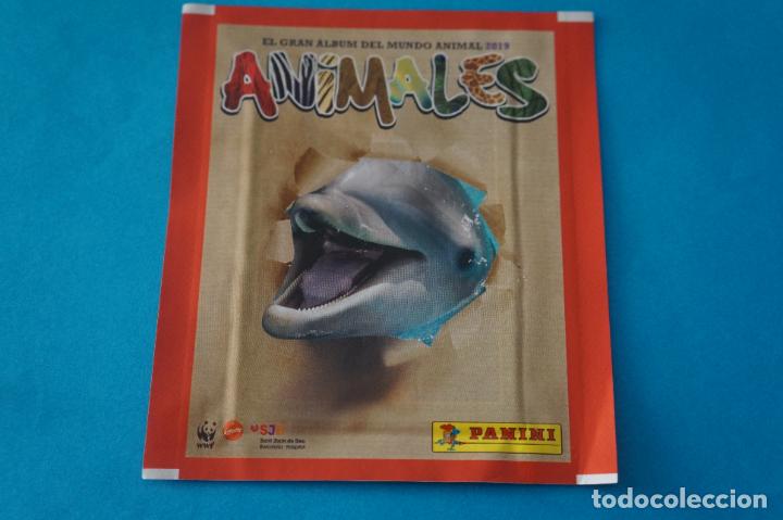 Coleccionismo cromos antiguos: SOBRE DE CROMOS SIN ABRIR DE ANIMALES 2019 DE PANINI - Foto 1