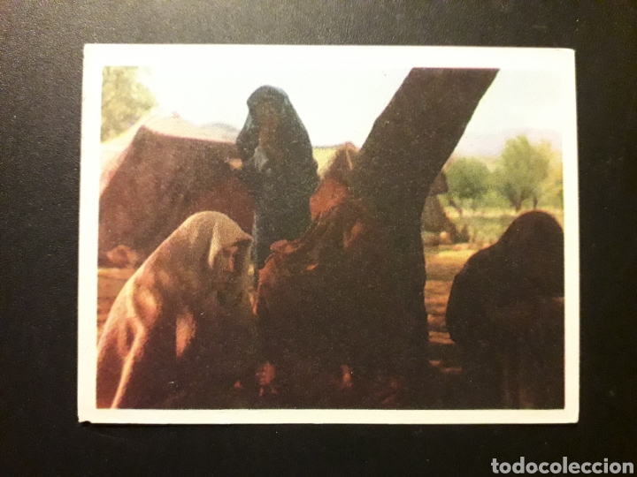Colecionismo Cromos antigos: ALBUM LA BIBLIA. PEL&Iacute;CULA. IBERO MUNDIAL DE EDICIONES 1966 SIN PEGAR. N&deg; 259 FOTOS PEDIDO M&Iacute;NIMO 3&euro;