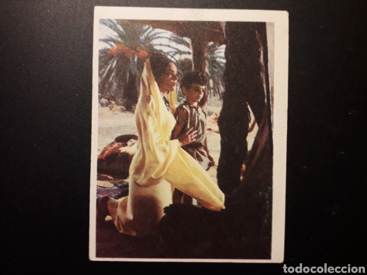 Colecionismo Cromos antigos: ALBUM LA BIBLIA. PEL&Iacute;CULA. IBERO MUNDIAL DE EDICIONES 1966 SIN PEGAR. N&deg; 282 FOTOS PEDIDO M&Iacute;NIMO 3&euro;