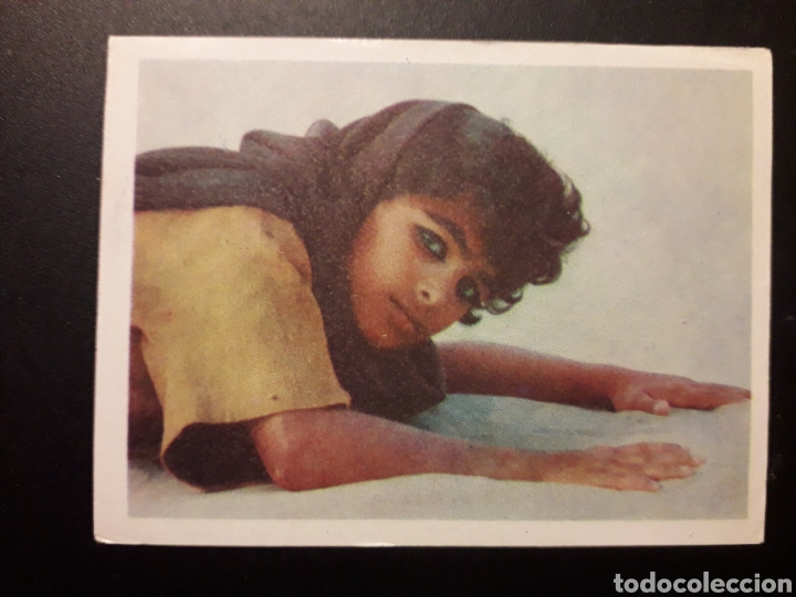 Colecionismo Cromos antigos: ALBUM LA BIBLIA. PEL&Iacute;CULA. IBERO MUNDIAL DE EDICIONES 1966 SIN PEGAR. N&deg; 284 FOTOS PEDIDO M&Iacute;NIMO 3&euro;