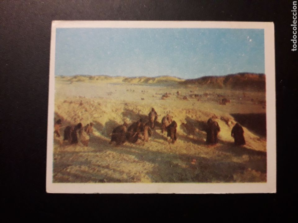 Collectable Antique Stickers: ALBUM LA BIBLIA. PEL&Iacute;CULA. IBERO MUNDIAL DE EDICIONES 1966 SIN PEGAR. N&deg; 244 FOTOS PEDIDO M&Iacute;NIMO 3&euro;