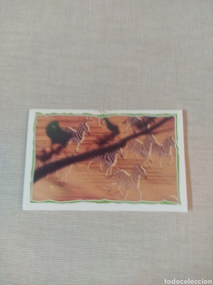 Coleccionismo cromos antiguos: Cromo El rey le&oacute;n PANINI Disney N&deg;7 - Foto 1