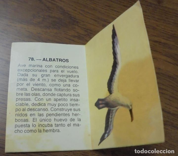 Coleccionismo cromos antiguos: ZOOBIMBO CROMO N.78 - Foto 2