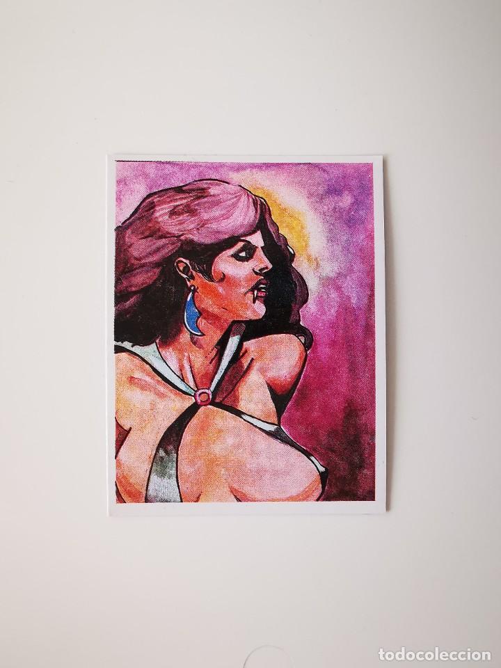 Coleccionismo Cromos antiguos: CROMO SIN PEGAR DEL ALBUM MONSTRUOS Y LEYENDAS REGRESO AL TERROR 2 VAMPIRELLA