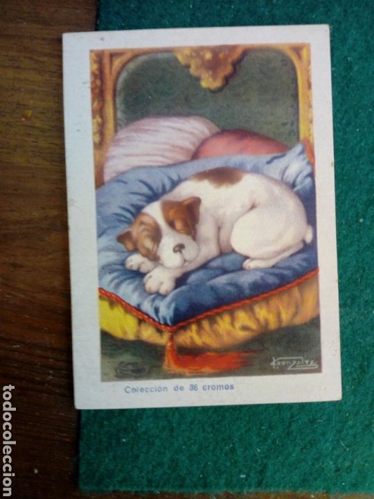 Collectable Antique Stickers: Cromo publicidad productos Loste SA cole ca&ntilde;ete clorato y su flel perro Pum. N 36 ,es ultimo cromo