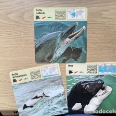Coleccionismo Cromos antiguos: FICHAS ANIMALES --- DELFIN MOTEADO - DELFIN DE COMMERSON - ORCA