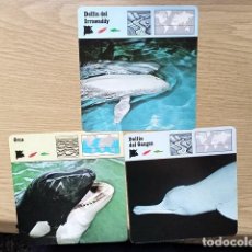 Coleccionismo Cromos antiguos: FICHAS ANIMALES --- DELFIN DEL IRRAWADDY - ORCA - DELFIN DEL GANGES