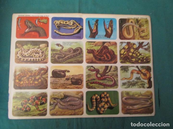Colecionismo Cromos antigos: LAMINA HEMMA BELGICA SERIE 39/289