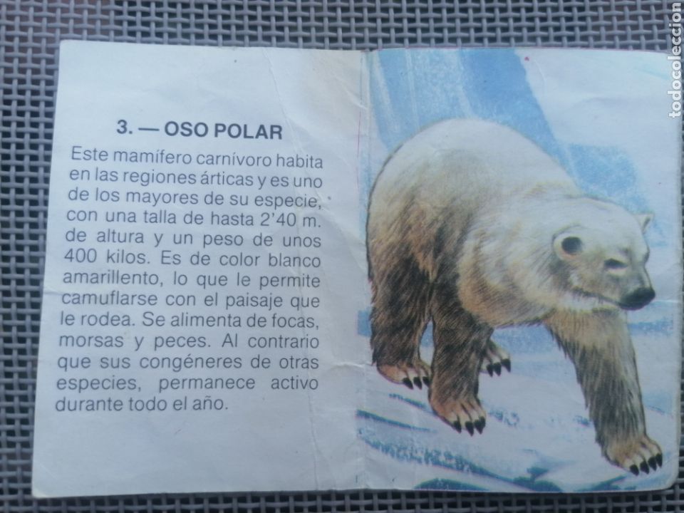 Coleccionismo cromos antiguos: CROMO ZOOBIMBO N&Uacute;MERO 3 - Foto 2