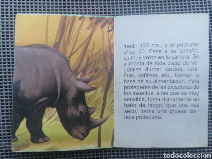 Coleccionismo cromos antiguos: CROMO ZOOBIMBO N&Uacute;MERO 36 - Foto 2
