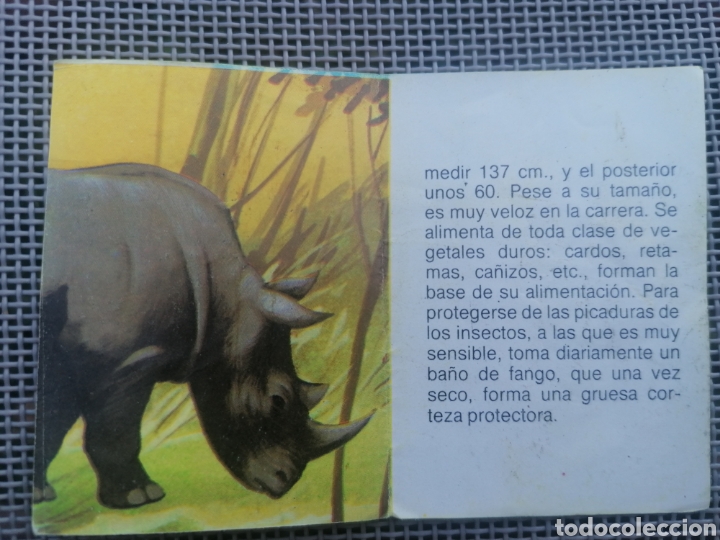 Coleccionismo cromos antiguos: CROMO ZOOBIMBO N&Uacute;MERO 36 - Foto 2