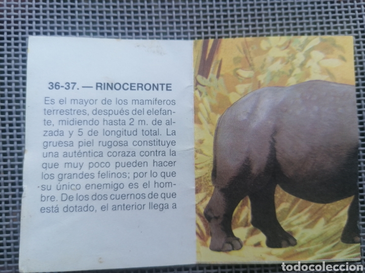Coleccionismo cromos antiguos: CROMO ZOOBIMBO N&Uacute;MERO 37 - Foto 2
