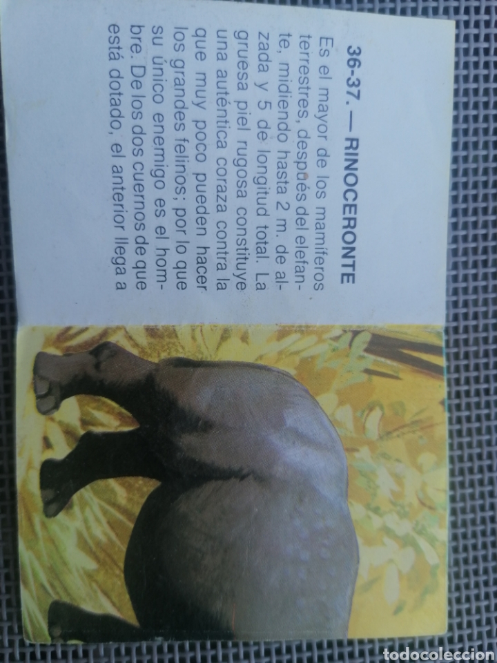 Coleccionismo cromos antiguos: CROMO ZOOBIMBO N&Uacute;MERO 37 - Foto 2