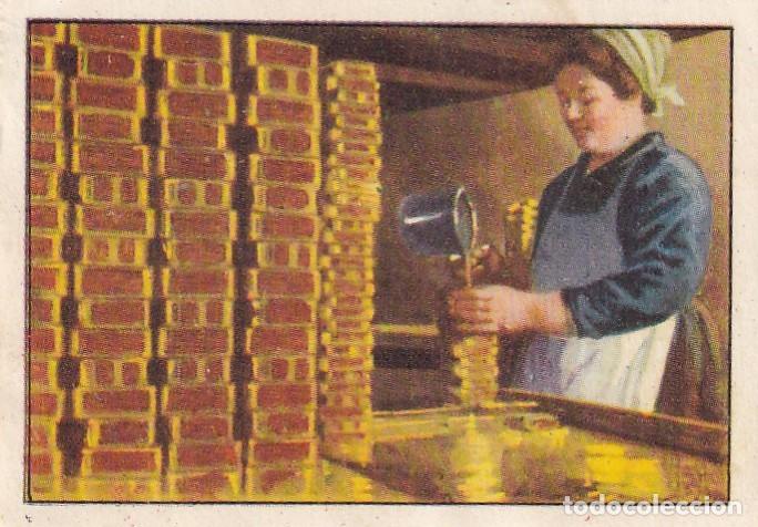 Coleccionismo Cromos antiguos: Primer Album Gallina Blanca / Serie 20 Pesca del bacalao y de la sardina - N&uacute;m. 12 Poniendo aceite