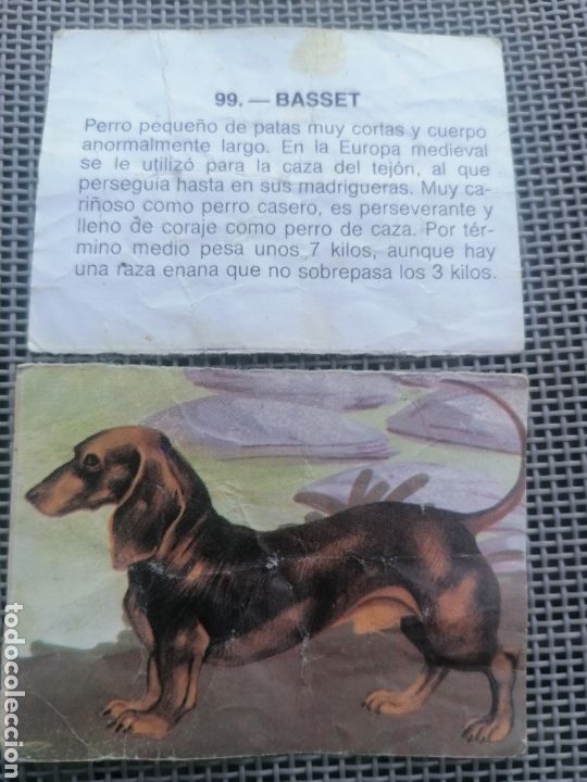 Coleccionismo cromos antiguos: CROMO ZOOBIMBO N&Uacute;MERO 99 - Foto 2