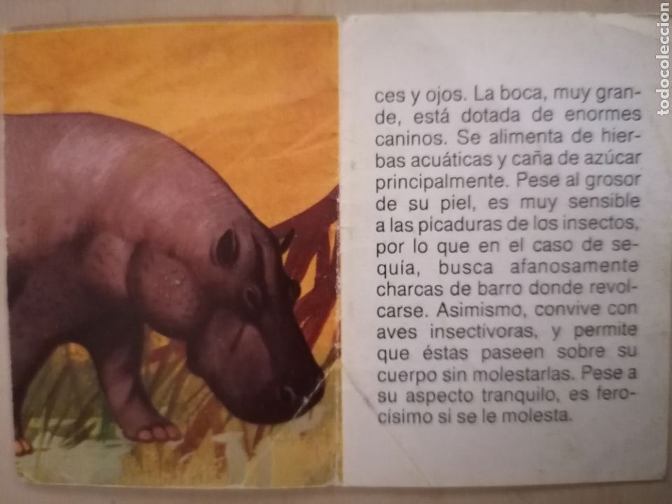 Coleccionismo cromos antiguos: CROMO ZOOBIMBO N&Uacute;MERO 57 - Foto 2
