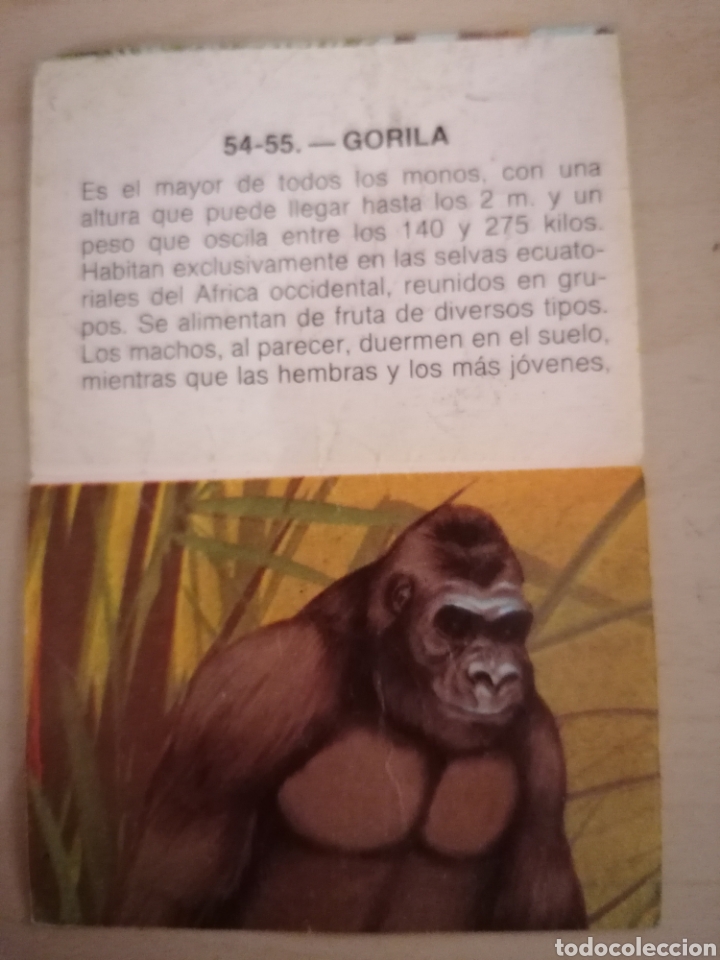 Coleccionismo cromos antiguos: CROMO ZOOBIMBO N&Uacute;MERO 54 - Foto 2