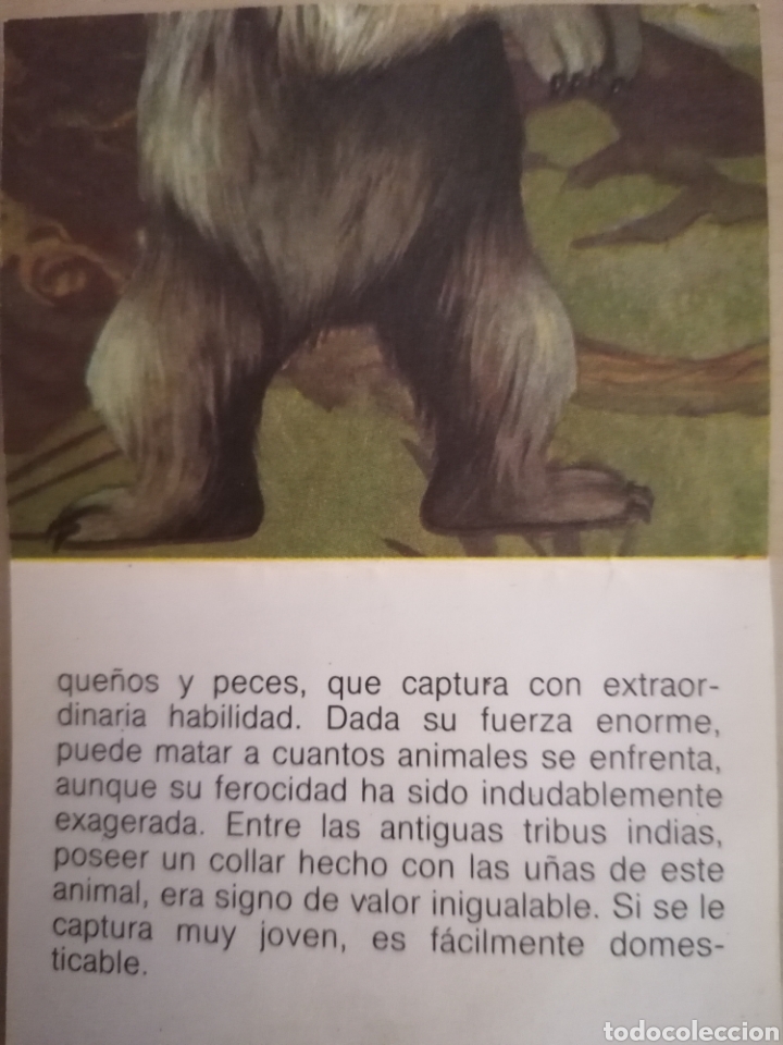 Coleccionismo cromos antiguos: CROMO ZOOBIMBO N&Uacute;MERO 67 - Foto 2