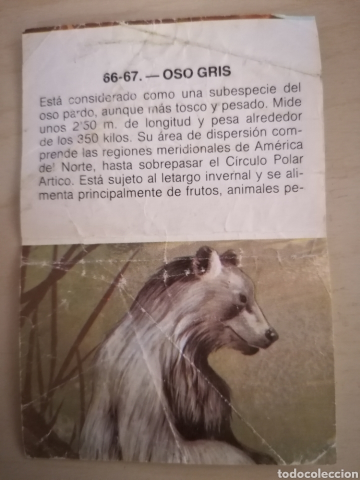 Coleccionismo cromos antiguos: CROMO ZOOBIMBO N&Uacute;MERO 66 - Foto 2