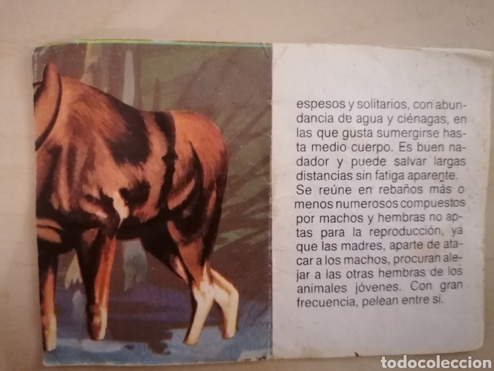 Coleccionismo cromos antiguos: CROMO ZOOBIMBO N&Uacute;MERO 77 - Foto 2