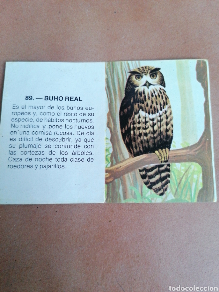 Coleccionismo cromos antiguos: CROMO ZOOBIMBO N&Uacute;MERO 89 - Foto 2