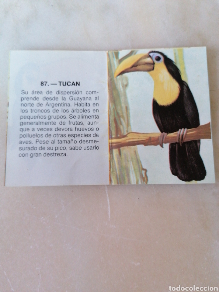 Coleccionismo cromos antiguos: CROMO ZOOBIMBO N&Uacute;MERO 87 - Foto 2
