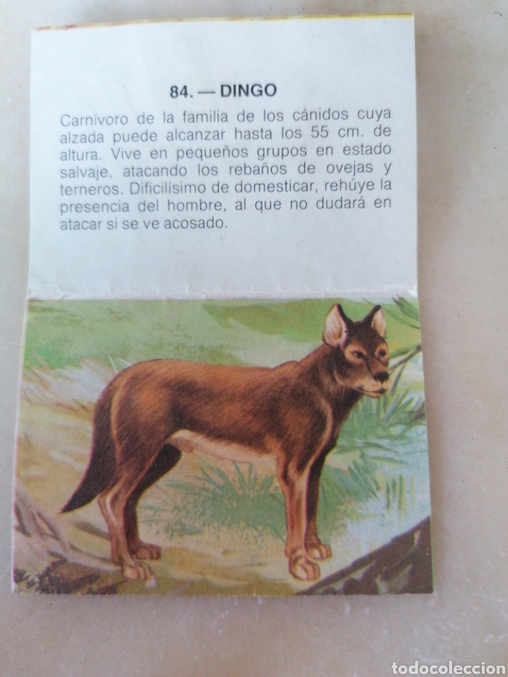 Coleccionismo cromos antiguos: CROMO ZOOBIMBO N&Uacute;MERO 84 - Foto 2