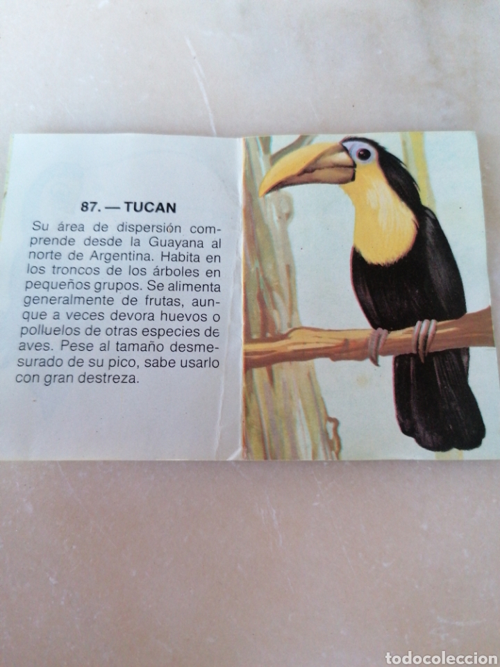 Coleccionismo cromos antiguos: CROMO ZOOBIMBO N&Uacute;MERO 87 - Foto 2