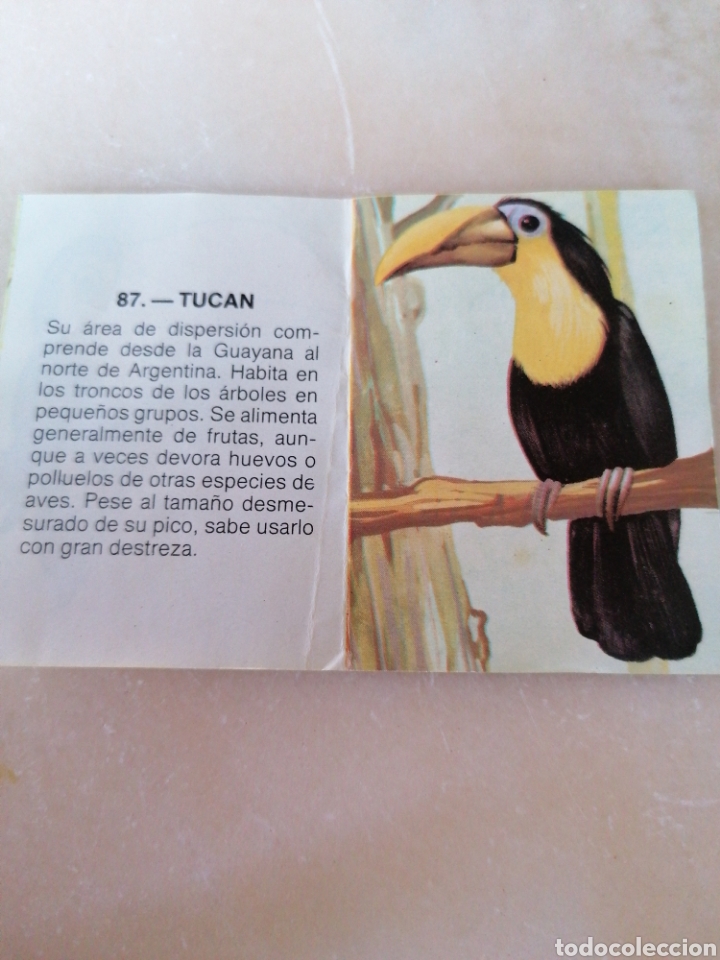 Coleccionismo cromos antiguos: CROMO ZOOBIMBO N&Uacute;MERO 87 - Foto 3