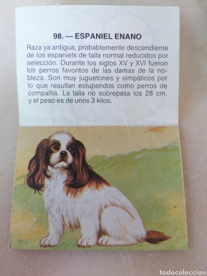 Coleccionismo cromos antiguos: CROMO ZOOBIMBO N&Uacute;MERO 98 - Foto 2