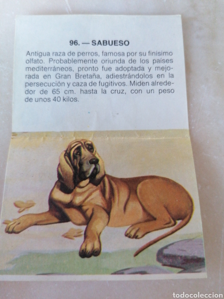 Coleccionismo cromos antiguos: CROMO ZOOBIMBO N&Uacute;MERO 96 - Foto 2