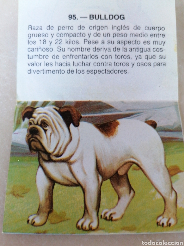 Coleccionismo cromos antiguos: CROMO ZOOBIMBO N&Uacute;MERO 95 - Foto 2