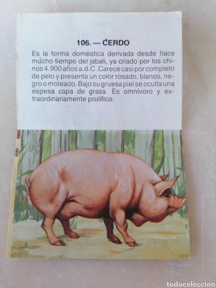 Coleccionismo cromos antiguos: CROMO ZOOBIMBO N&Uacute;MERO 106 - Foto 2