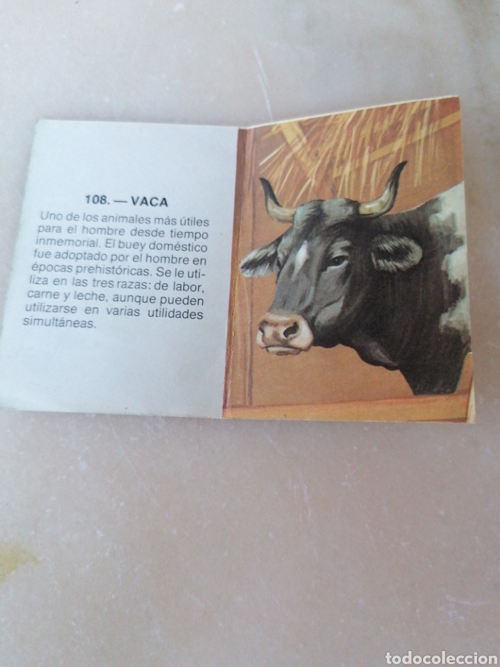 Coleccionismo cromos antiguos: CROMO ZOOBIMBO N&Uacute;MERO 108 - Foto 2