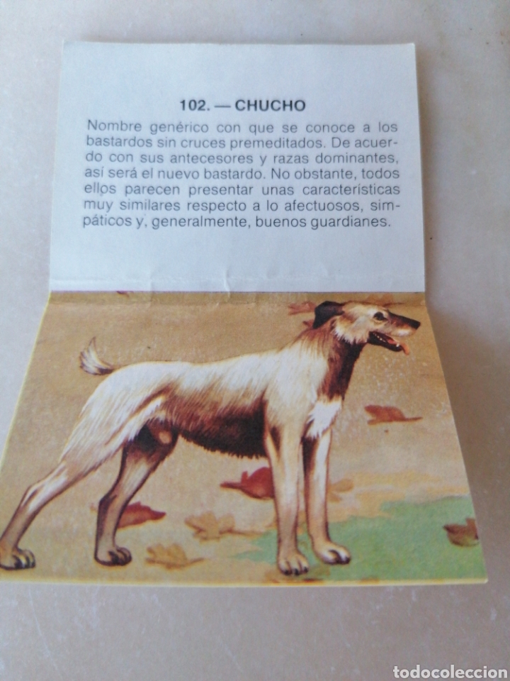 Coleccionismo cromos antiguos: CROMO ZOOBIMBO N&Uacute;MERO 102 - Foto 2