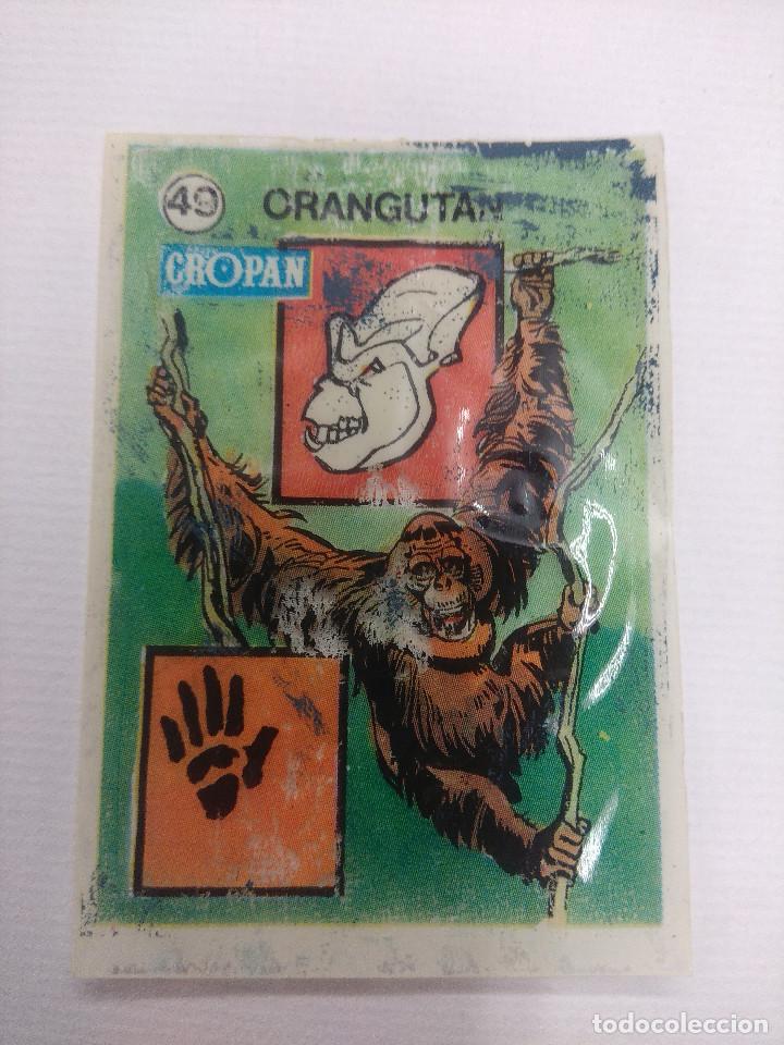 Coleccionismo Cromos antiguos: ORANGUTAN/SANDOKAN Y LAS HUELLAS DE LOS ANIMALES/CROMO CROPAN N&ordm; 49.