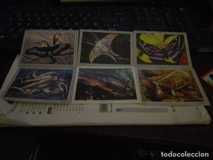 Coleccionismo Cromos antiguos: Cromos